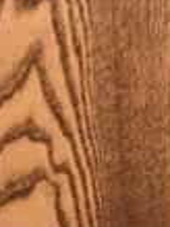 English Chestnut
